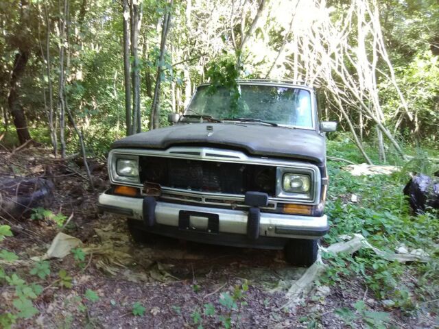 1989 Jeep Wagoneer Woody - photo 5