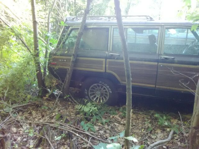 1989 Jeep Wagoneer Woody - photo 7
