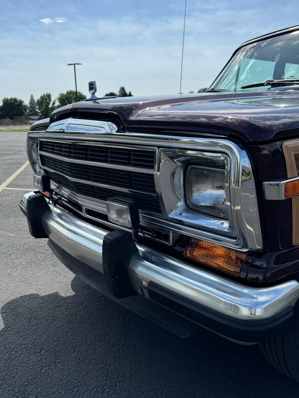 1989 Jeep Wagoneer - photo 12