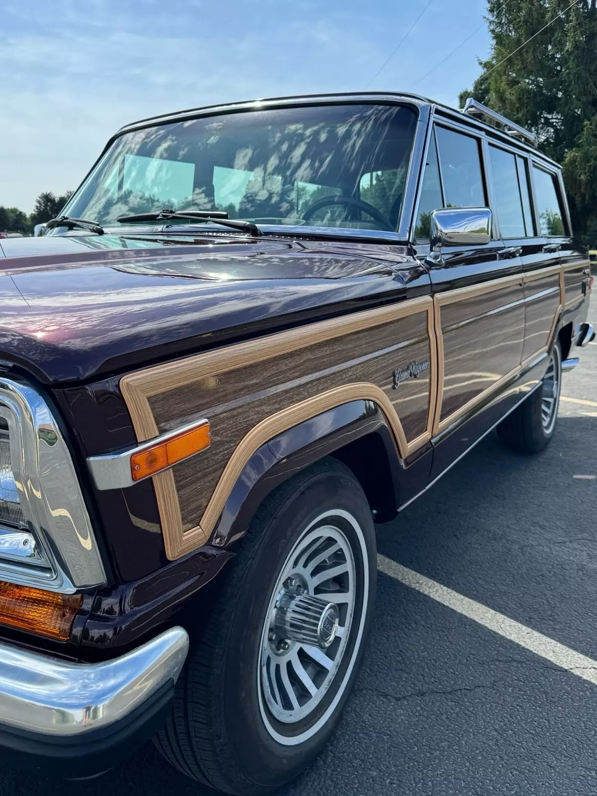 1989 Jeep Wagoneer - photo 13