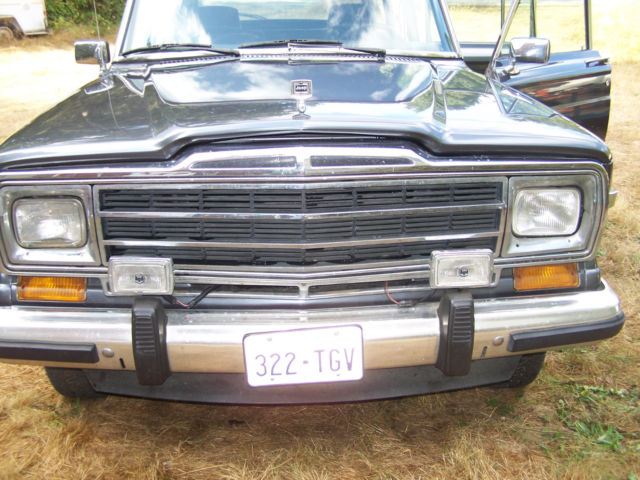 1989 Jeep Other Woodgrain Delete - photo 3