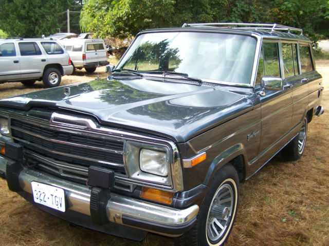1989 Jeep Other Woodgrain Delete - photo 7