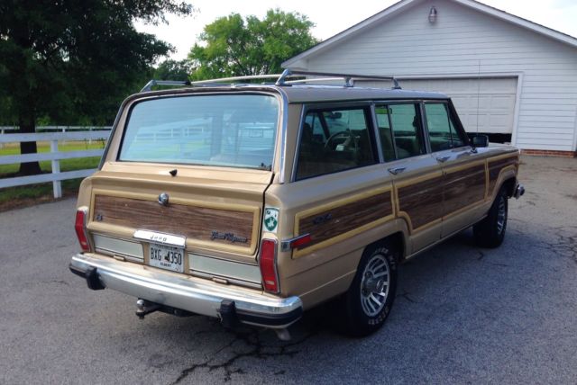 1989 Jeep Wagoneer faux wood trim - photo 4