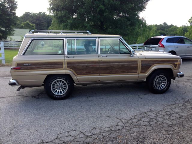 1989 Jeep Wagoneer faux wood trim - photo 5