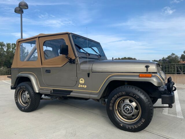 1989 Jeep Wrangler Sahara - photo 8