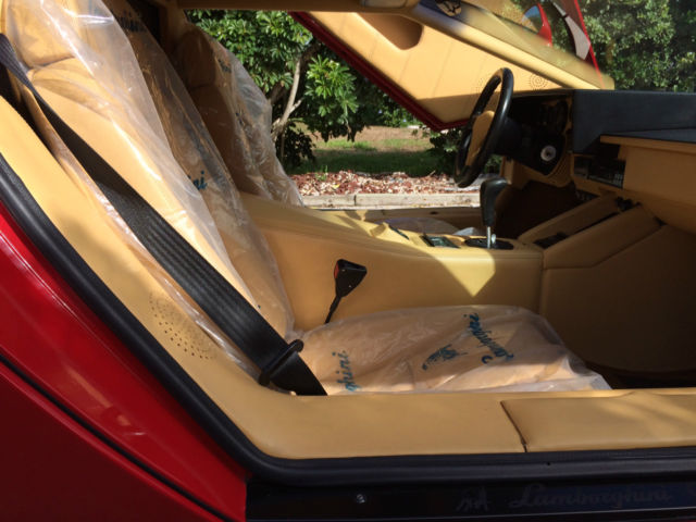 1989 Lamborghini Countach 25 SILVER ANIVERSARY EDITION - photo 6
