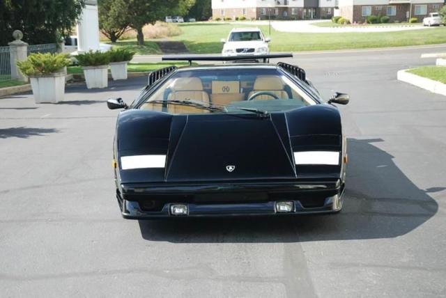 1989 Lamborghini Countach Anniversary - photo 9