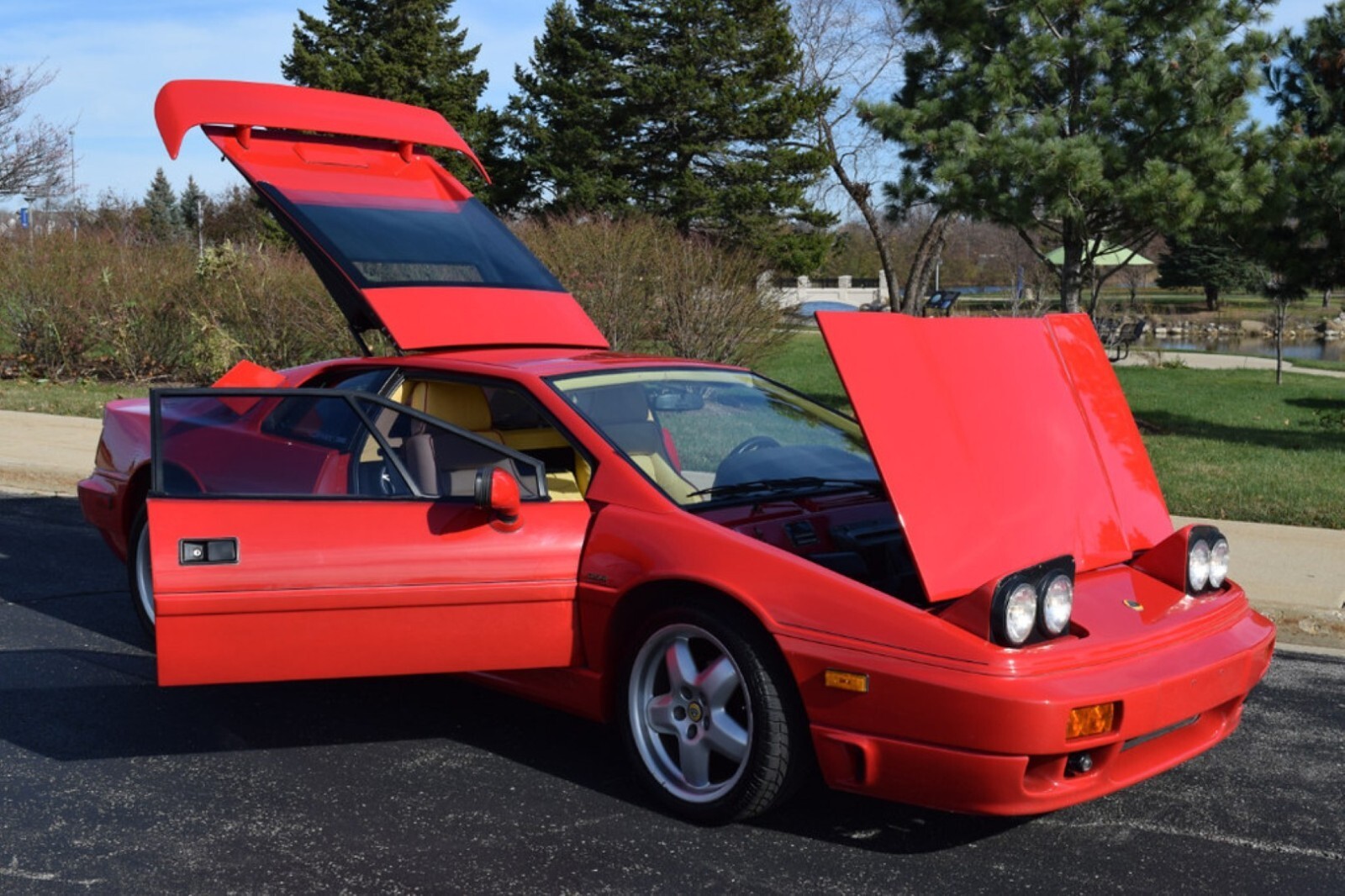 1989 Lotus Esprit - photo 9