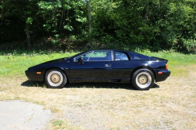 1989 Lotus Esprit - photo 5