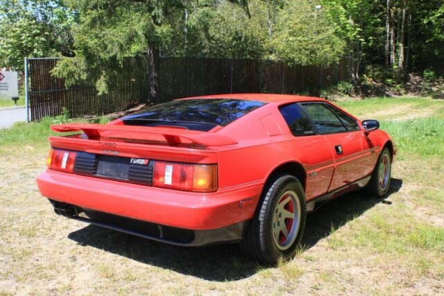 1989 Lotus Esprit - photo 13