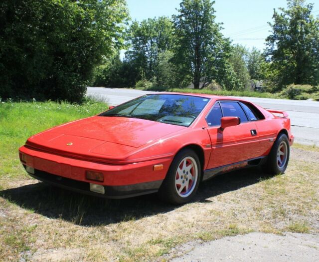 1989 Lotus Esprit - photo 9