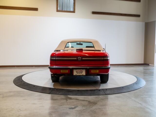 1989 Maserati Chrysler TC Convertible - photo 5