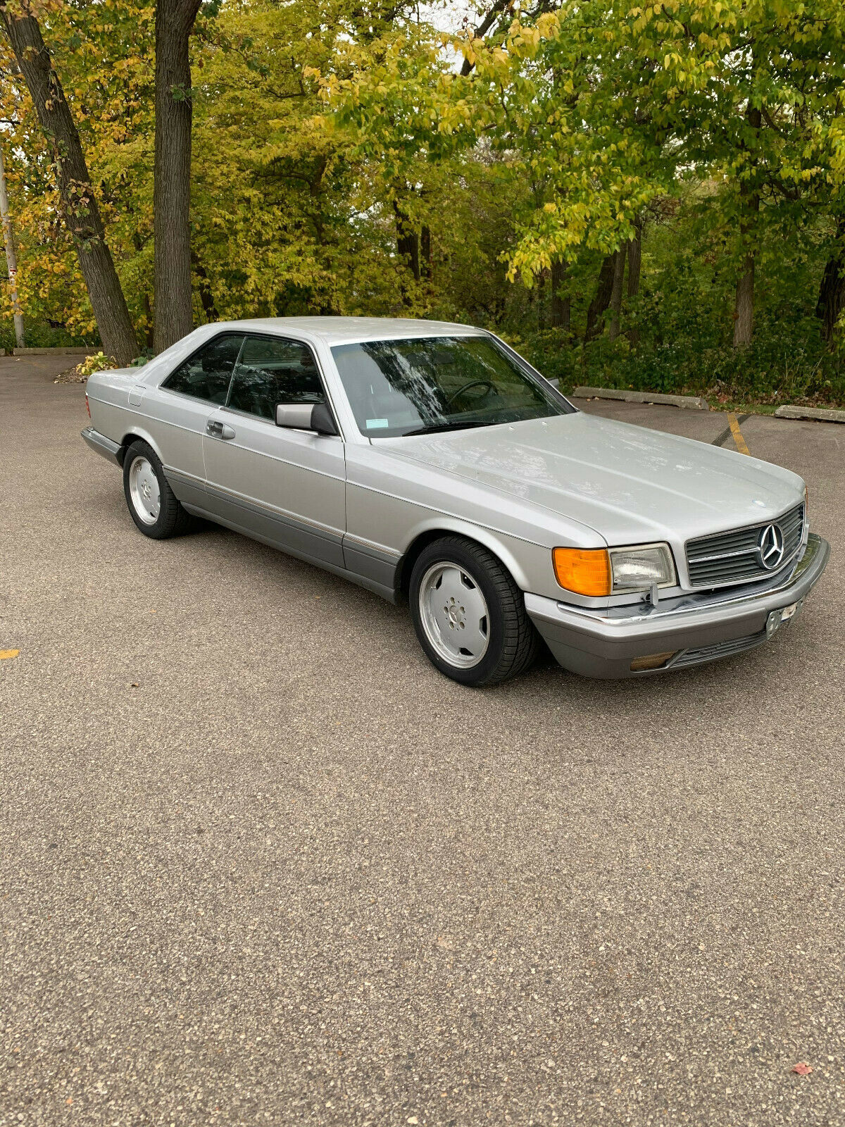 1989 Mercedes-Benz S-Class - photo 4