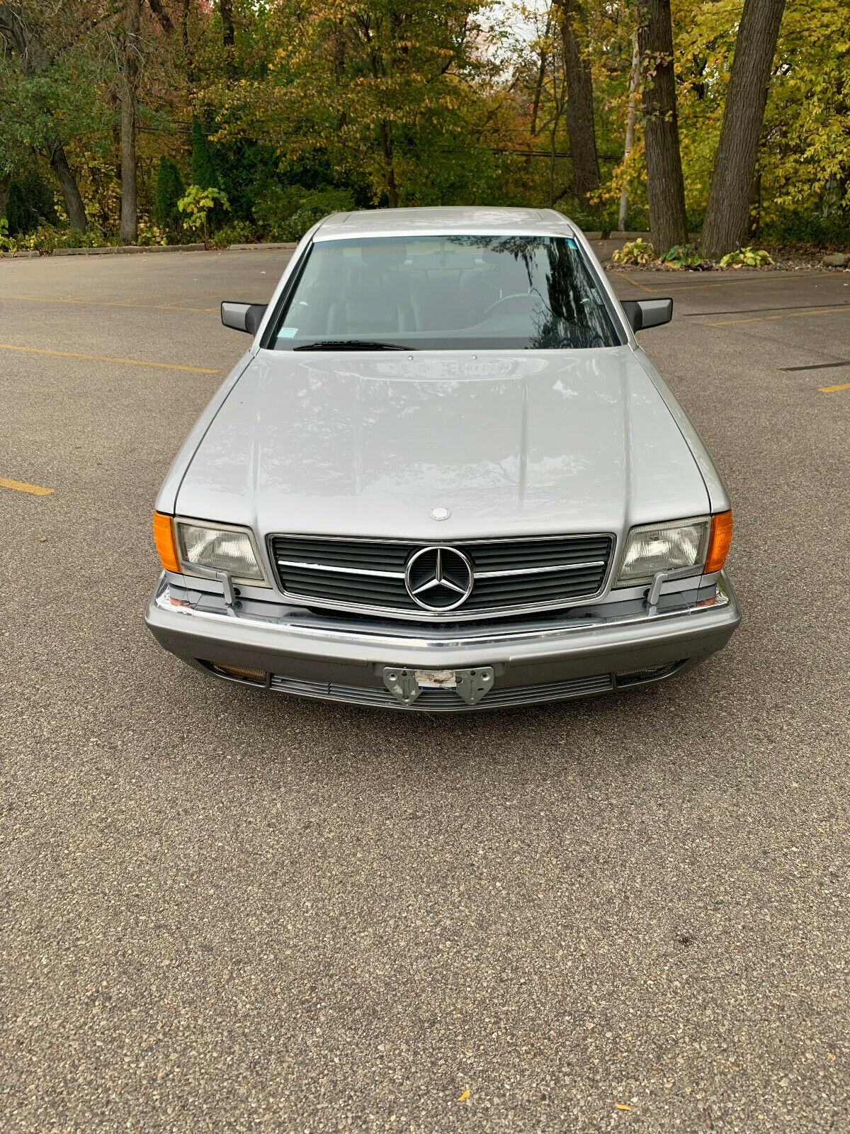 1989 Mercedes-Benz S-Class - photo 5