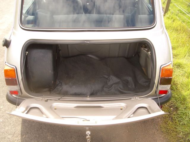 1989 Mini Classic Mini Mayfair - photo 9