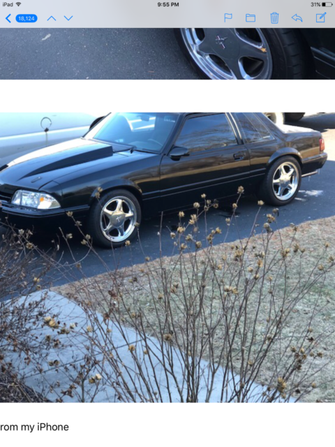 1989 mustang coupe notch 1989 Ford Mustang