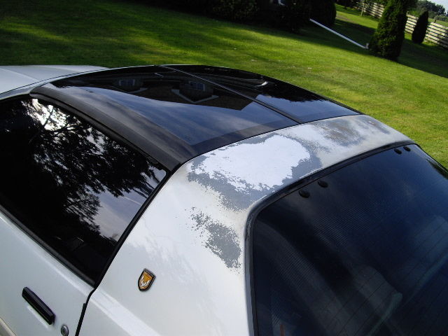 1989 Pontiac Trans Am 20th Anniversary - photo 13