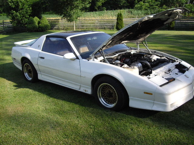 1989 Pontiac Trans Am 20th Anniversary - photo 4