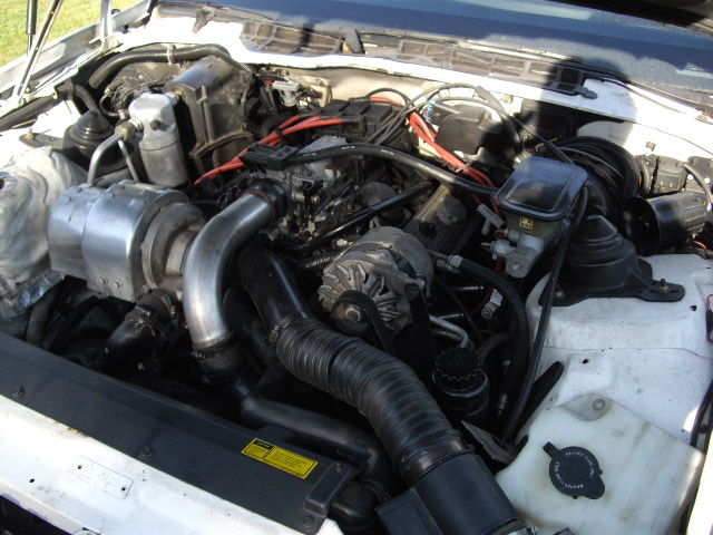 1989 Pontiac Trans Am 20th Anniversary - photo 6