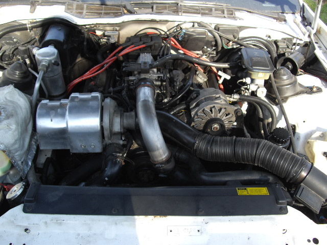 1989 Pontiac Trans Am 20th Anniversary - photo 7