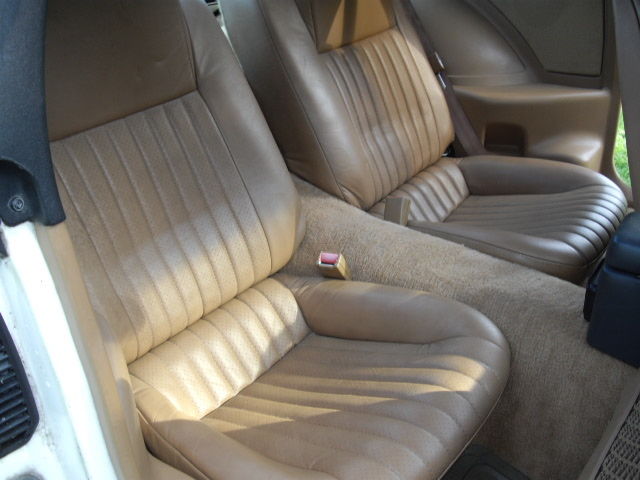 1989 Pontiac Trans Am 20th Anniversary - photo 9