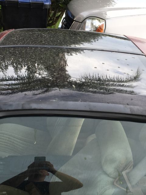 1989 Pontiac Firebird - photo 5