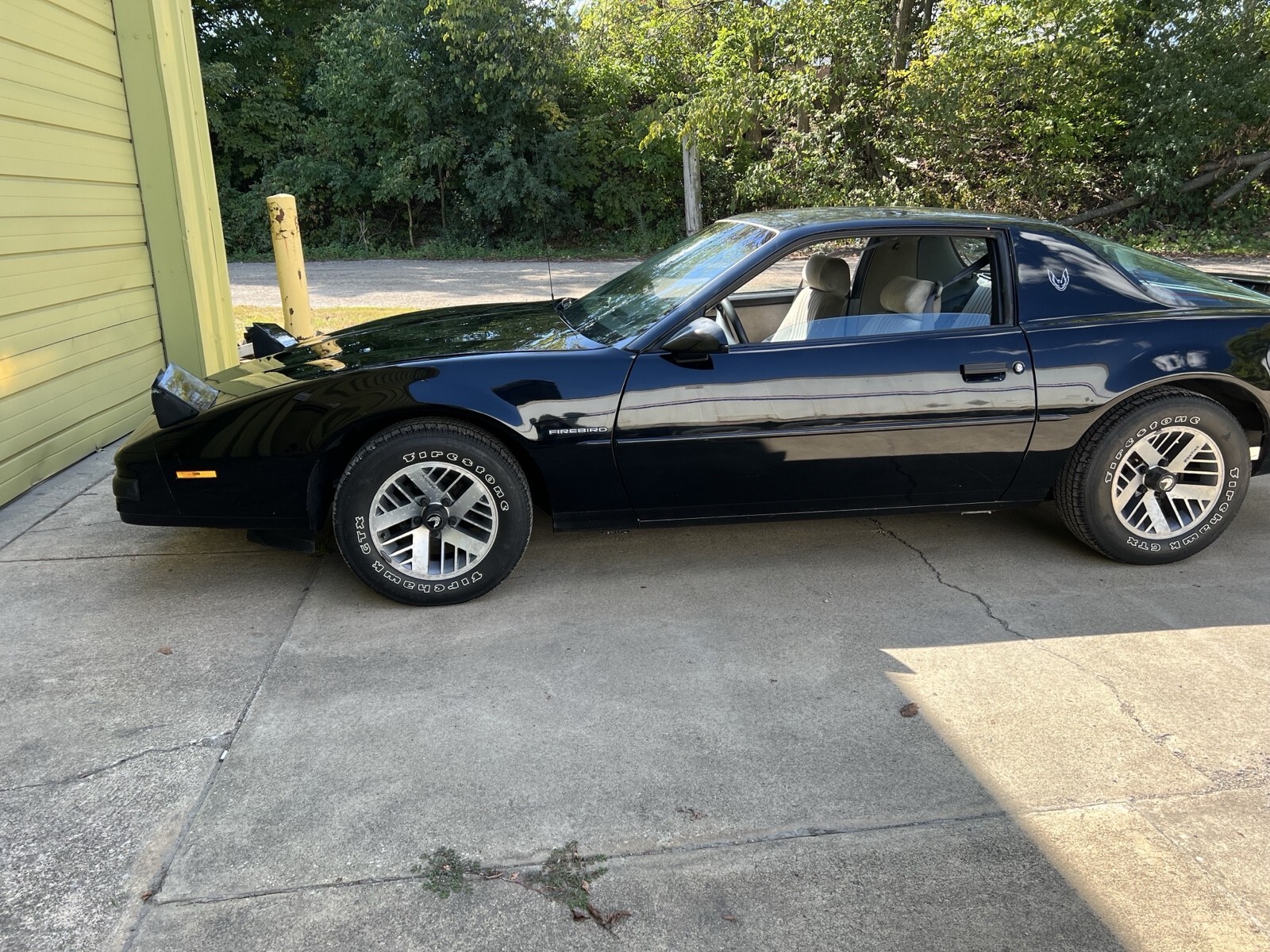 1989 Pontiac Firebird - photo 11