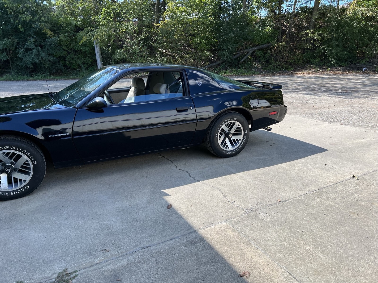 1989 Pontiac Firebird - photo 12