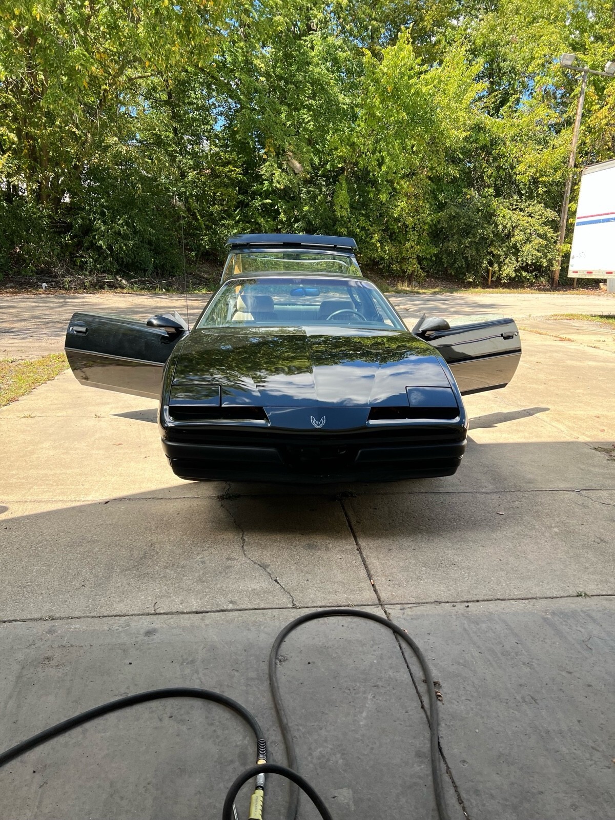 1989 Pontiac Firebird - photo 3