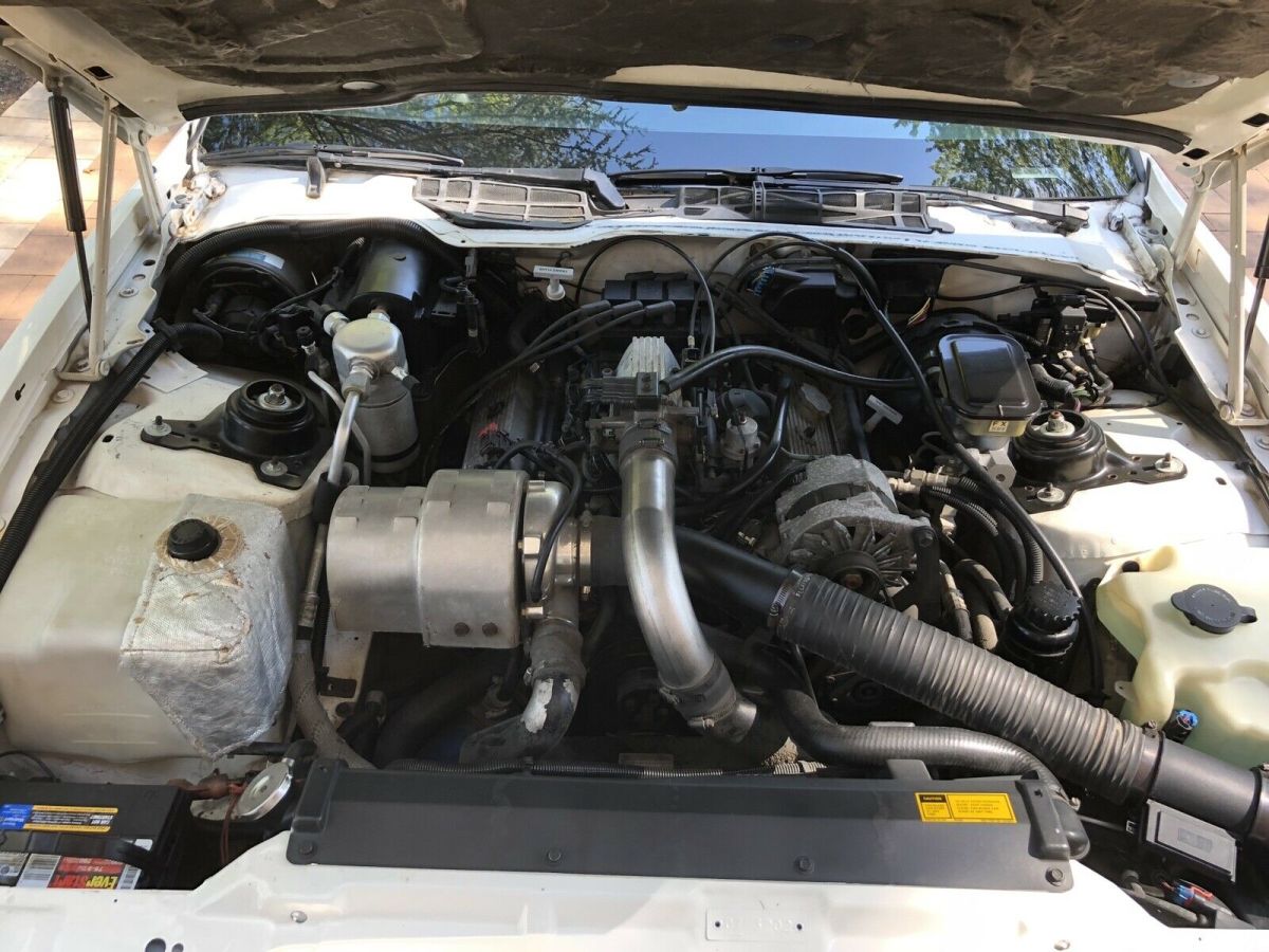 1989 Pontiac Firebird TRANS AM - photo 13