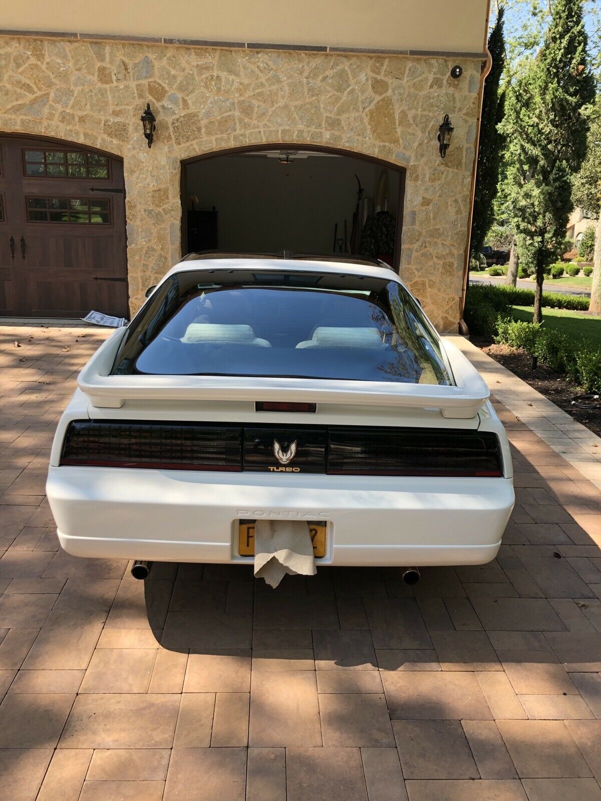 1989 Pontiac Firebird TRANS AM - photo 6