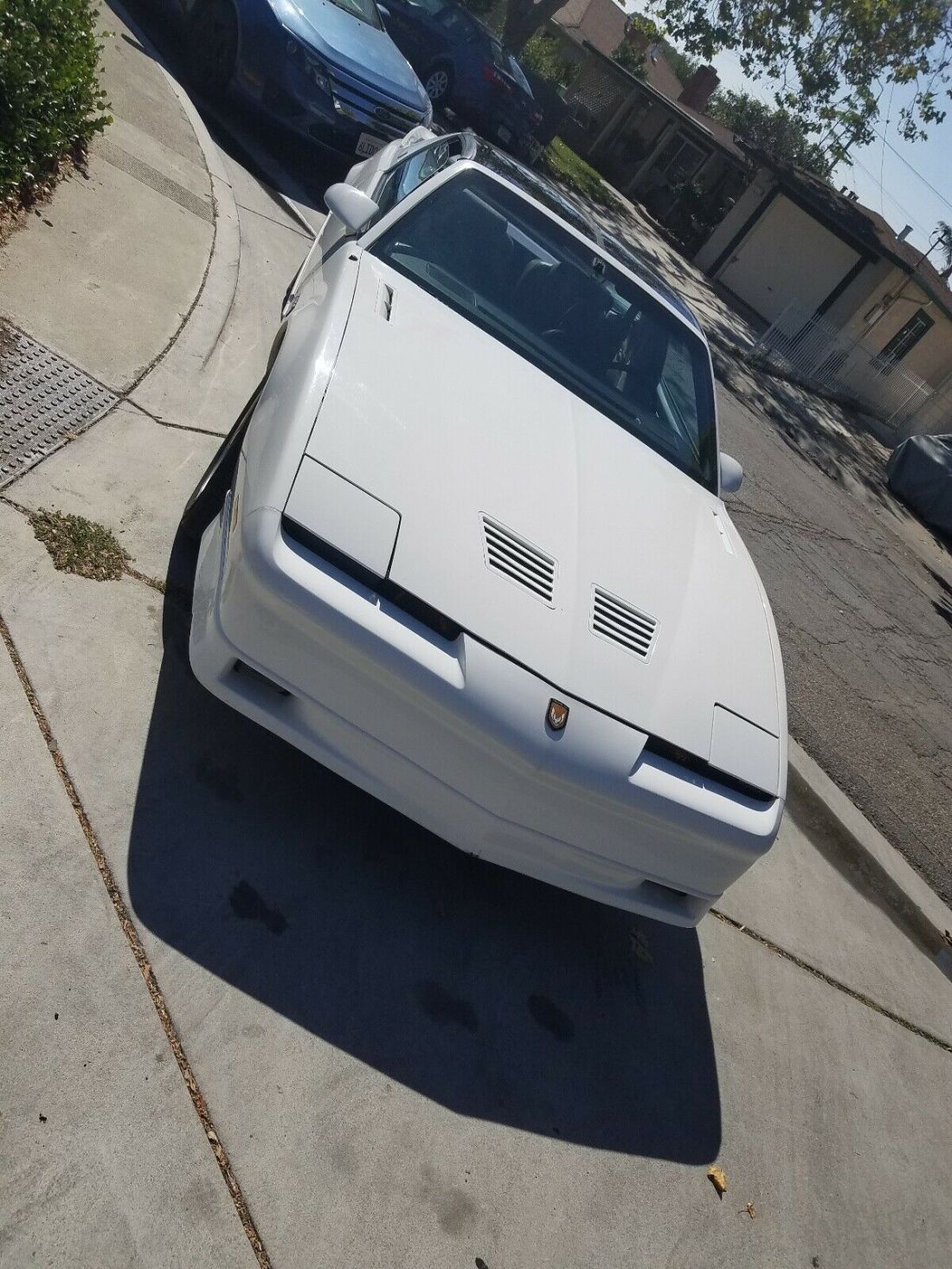 1989 Pontiac Firebird TRANS AM - photo 2
