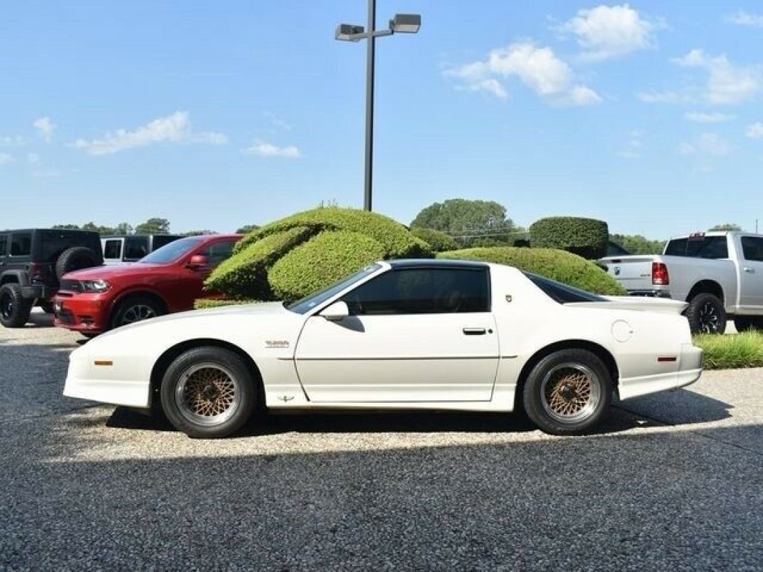 1989 Pontiac Firebird Trans Am TTA - photo 4