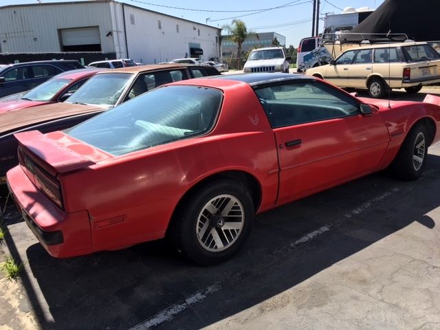 1989 Pontiac Firebird Base Coupe 2-Door - photo 4
