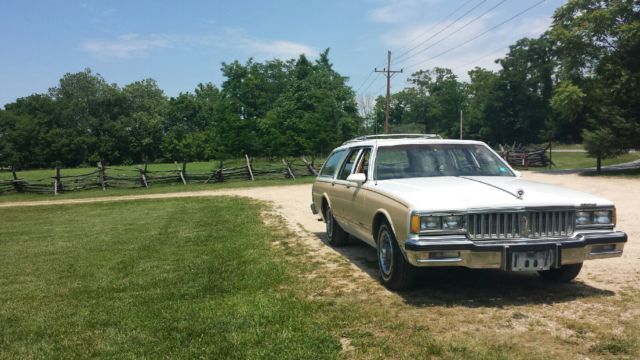 1989 Pontiac Safari Parisienne - photo 3