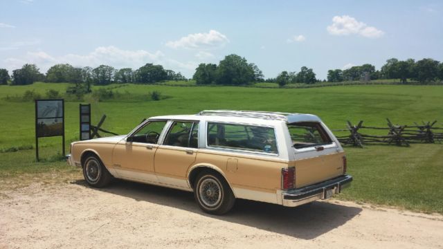1989 Pontiac Safari Parisienne - photo 4