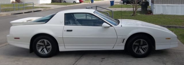 1989 Pontiac Trans Am SMALL SIVER EAGLES - photo 11