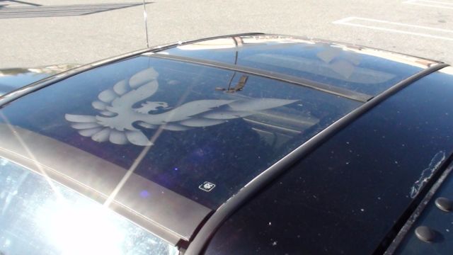 1989 Pontiac Trans Am GTA Package - photo 5