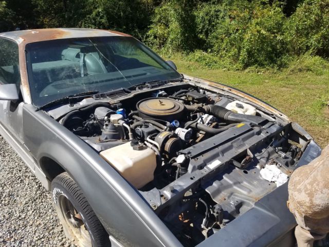 1989 Pontiac Trans Am - photo 6