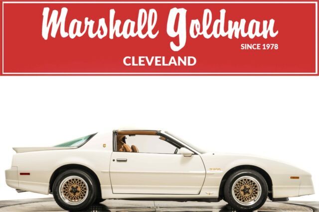 1989 Pontiac Trans Am Turbo Hatchback 3.8L Turbocharged V6 250hp 340ft. lbs. 4-S 1989 Pontiac Trans Am Turbo