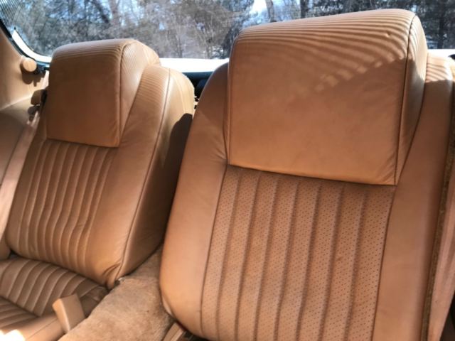 1989 Pontiac Trans Am Pace Car - photo 8