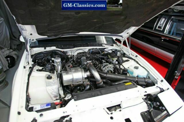 1989 Pontiac Trans Am TTA - photo 6