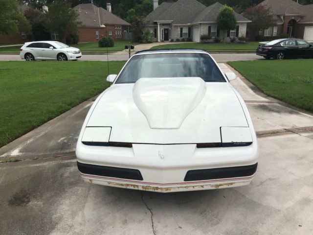 1989 Pontiac Firebird PRO/AM - photo 2