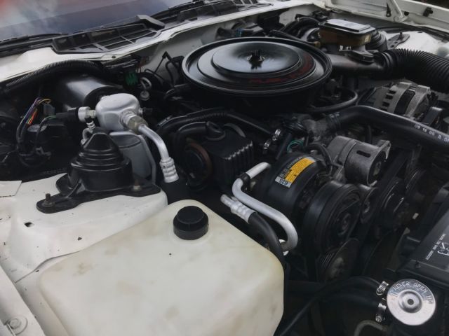 1989 Pontiac Firebird PRO/AM - photo 7