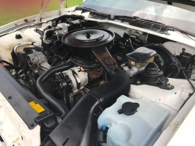 1989 Pontiac Firebird PRO/AM - photo 8