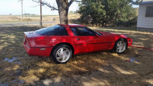 1989 Chevrolet Corvette - photo 5
