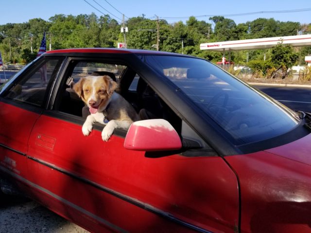 1989 Red Subaru XT6 AWD 1989 Subaru Other