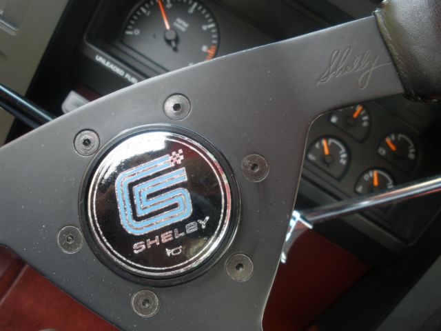 1989 Dodge Dakota Shelby - photo 13
