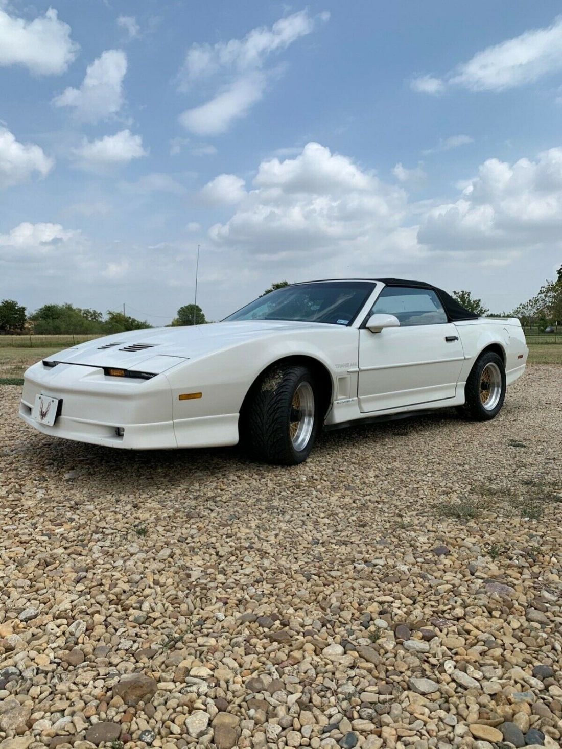 1989 Pontiac Trans Am TRANS AM - photo 12