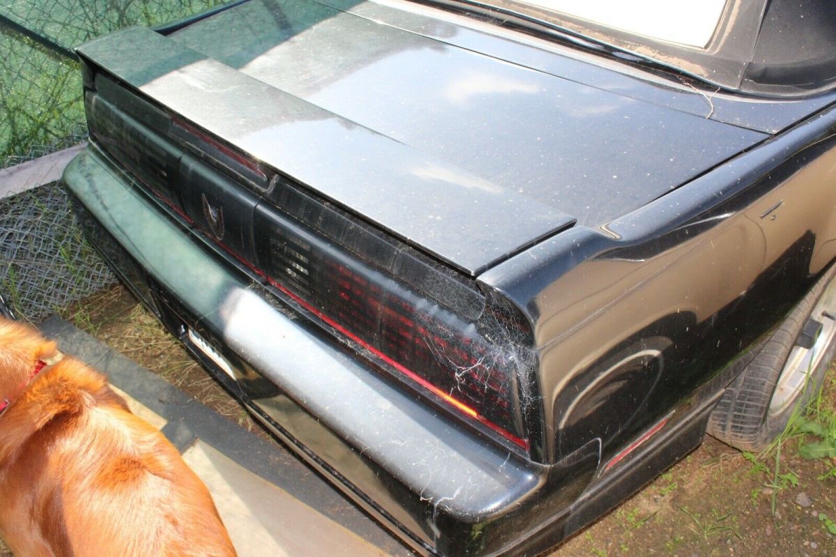 1989 Pontiac Trans Am GTA - photo 2